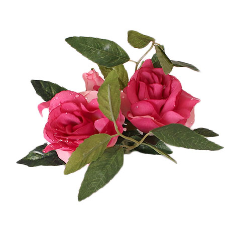 Pink lysmanchet - 2 roser med vanddrys.