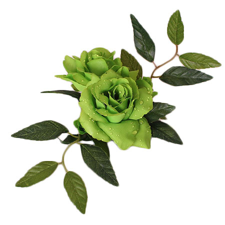 limegrøn lyskrans roser med vanddrys