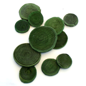 Træskiver - 10 stk. Ø 2-5 cm - Grønne