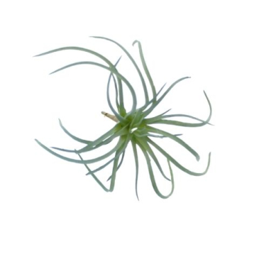 Kunstig græs plante - H 9 cm - Sart Grøn