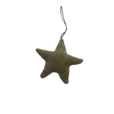 Stjerne i fløjl- Ø 9 cm - Grøn