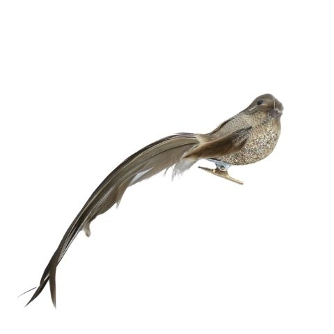 Fugl på klemme -L 20 cm - Natur ass