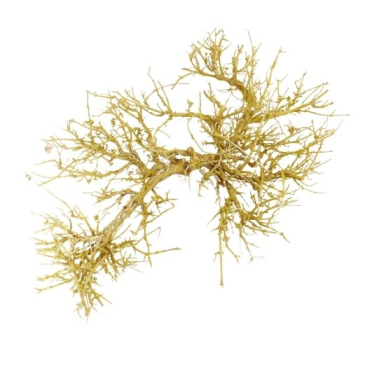 Koral træ - Gul - Ø ca 22- 32 cm