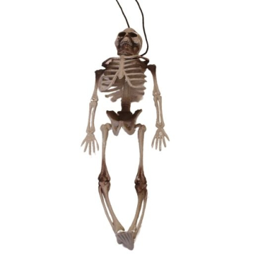 Halloween skelet 38cm