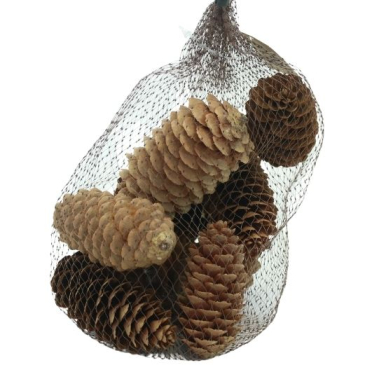 Grankogler i net - Aflange små - ca 6-8 stk