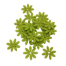 Blomster filt Daisy - Ø 3,5 cm - 18 stk. - Lime