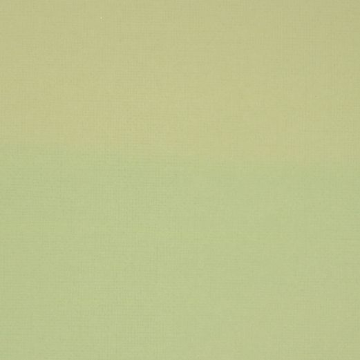 Karton ensfarvet - aflang 14 x 28 cm - Olivengrøn lys - 1 stk