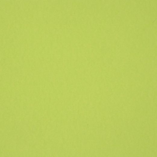 Karton ensfarvet - aflang 14 x 28 cm - Lime - 1 stk