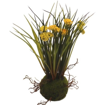 Græsplante med rod med Gule blomster H 25 cm