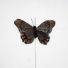 sommerfugl fjer gråbrun 10 cm