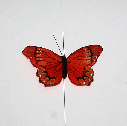 sommerfugl fjer orange - 10 cm