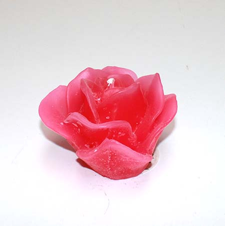 Roselys Cerise 10 cm