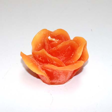 Roselys Orange 10 cm