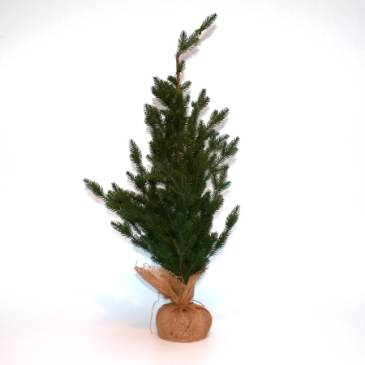 Aase Juletræ med jutefod - 90 cm høj