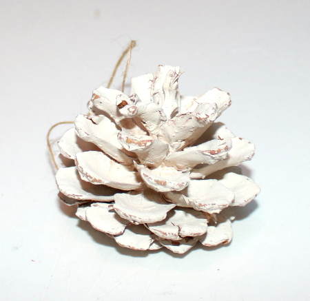 Hvide Kogler - 8 stk - Ø 5 cm