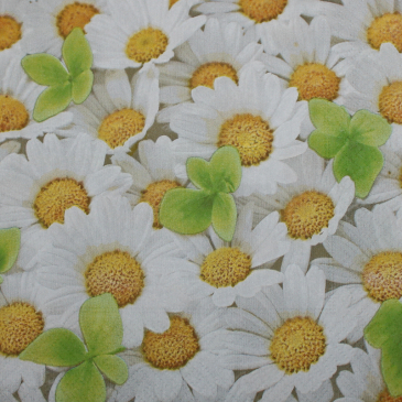 Frokostserviet - 33 x 33 cm - Tusindfryd blomster
